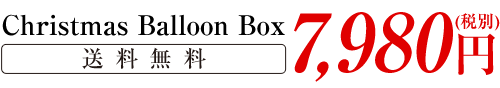 通常価格7,980円(税別) 11月30日まで早期予約価格 送料無料 7,480円(税別)